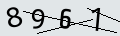 verifycode